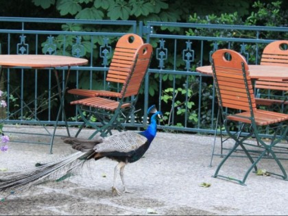 Photo: Paulaner-Garten am Höxberg